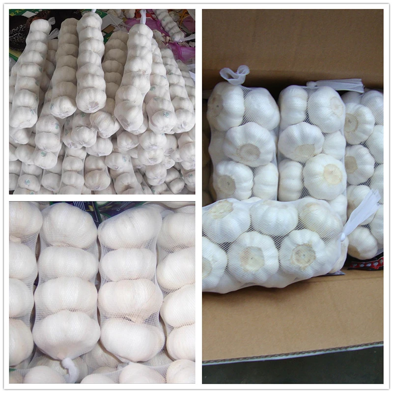 size 55 pure white garlic17 size 55 pure white garlic17
